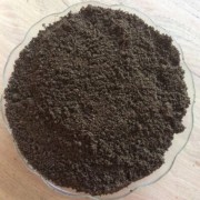 Ready -To-Grow Premix Black Potting Soil