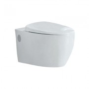 Jaquar Rimless Wall Hung Wc With Uf Soft Close Vgs-Wht-81953Uf