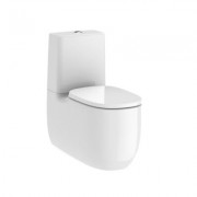 Back to wall vitreous china close-coupled Rimless WC with dual outlet