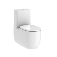 1652858354-back-to-wall-vitreous-china-close-coupled-rimless-wc-with-dual-outlet
