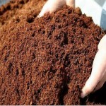 1654160656-granules-brown-potting-soil-for-agriculture